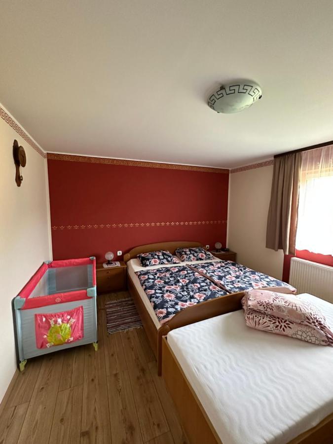Apartma Zeleni Raj Ptuj Exterior photo